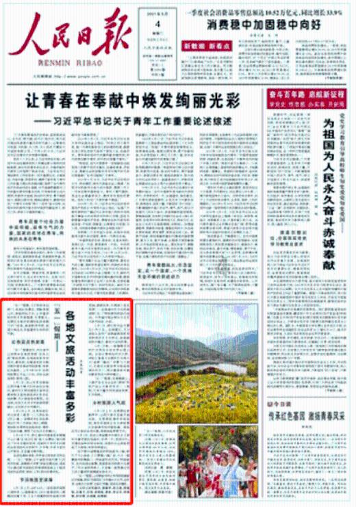 逃离黑白系房屋